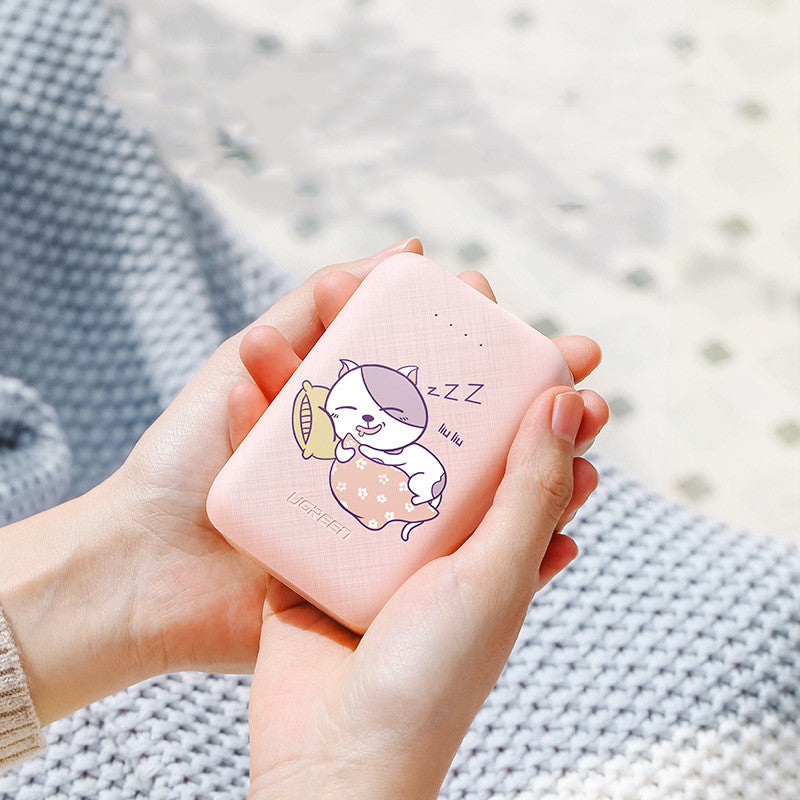10000mAh Type-C Micro Input Power Bank