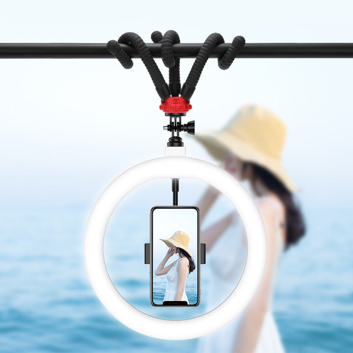 Illuminate Your Creativity with the 10 Inch LED Net Red Ring Light