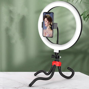 Illuminate Your Moments with the 10 Inch LED Net Red Ring Light