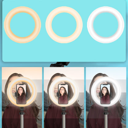 Rechargeable Live Ring Light