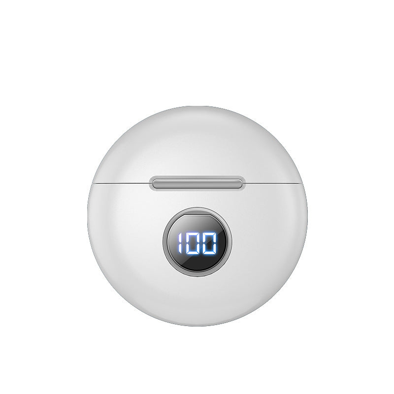 Wireless Bluetooth Earphones