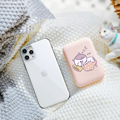 10000mAh Type-C Micro Input Power Bank